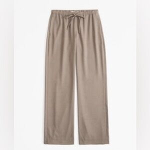 Abercrombie & Fitch Brown Menswear Pull-On Pant